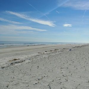 Meet your Posher, Adrienne